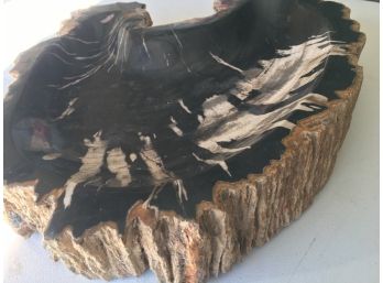 18Lb, Petrified Wood Fruit Tray