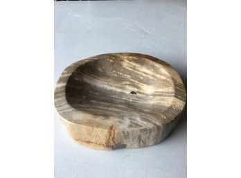 5Lb . 12oz Petrified Wood