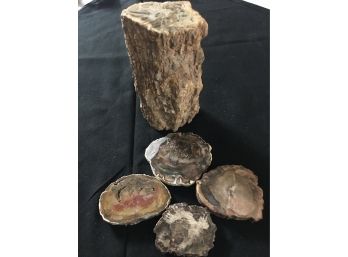 3Lb Petrified Wood