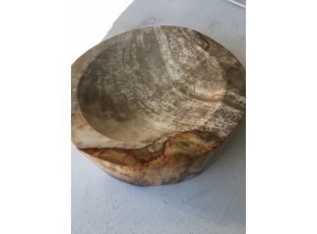 4Lb Petrified Wood