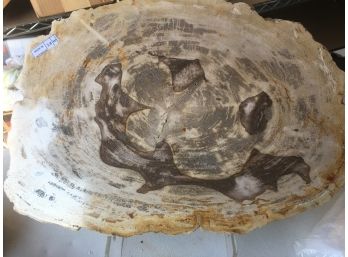 6 Lb Petrified Wood Cheese Plate