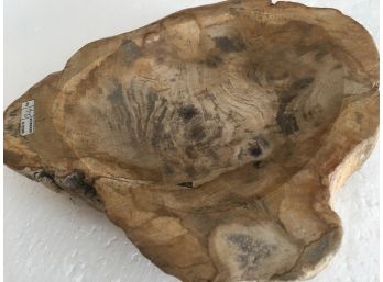 5 Lb Petrified Wood Candy Dish