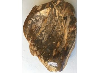 5Lb.8oz Petrified Wood Candy Disb