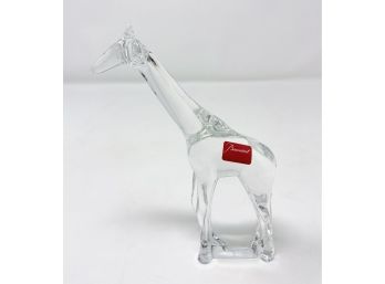 Baccarat Crystal Loet Vanderveen Giraffe