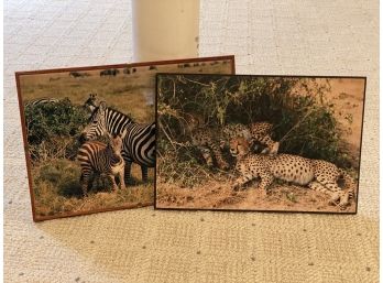 Safari Wildlife Shots, Board-Mounted