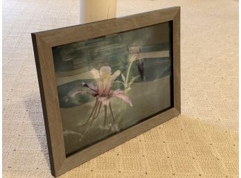 Softly-Focused Bloom In Composite Frame