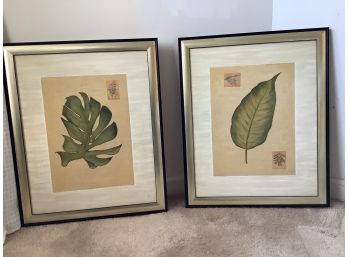 Pair Of Botanical Prints, Art