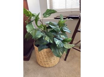 Faux Pothos Plant