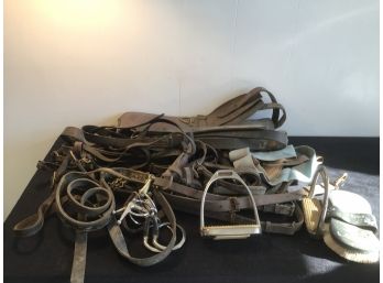 Horse Accessory Lot