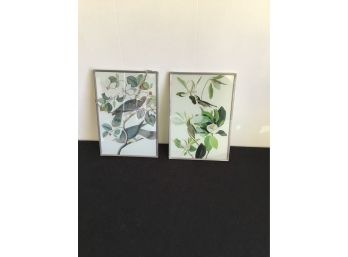 Pair Of Bird Prints Custom Framed