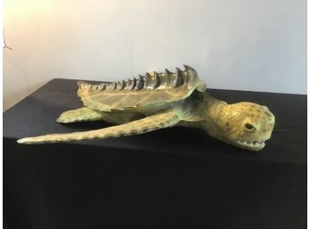 Signed Spiny Shelled Turtle Model