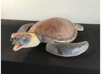 Brown Shelled Turtle Model