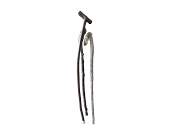 Walking Sticks, Set Of 3