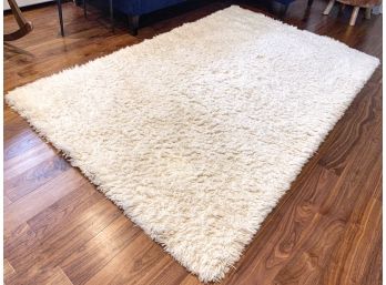 Pottery Barn Teen 5x8 Ivory Wool Shag Rug