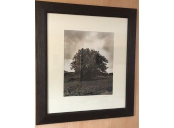 Framed Print Pencil Signed And Numbered