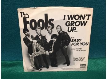 The Fools. I Won't Grow Up/Easy For You. Vintage 45 Rpm Record And Picture Sleeve. Near Mint Record.