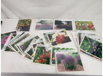 Folio Binder Filled With Seventy Six Beautiful 8x10 Color Garden Flower Photographs On Kodak Paper