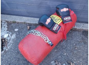 Punching Bag Everlast With Gloves