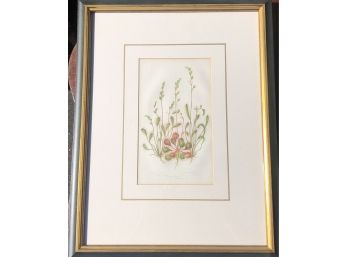 Botanical Print Of Color Wood Engraving, By Drosera Angelica, Framed With Glass