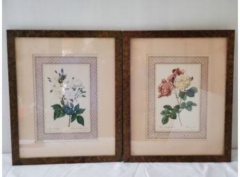 Pair Of Vintage Framed Botanical Prints - 18' X 22'