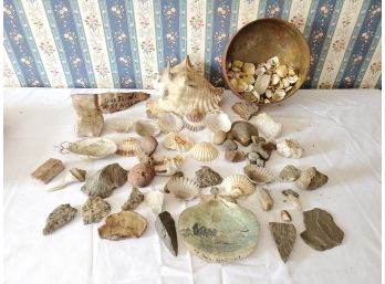 Antique Rock And Shell Assortment  -Including Carved Scenic Tree Mushroom