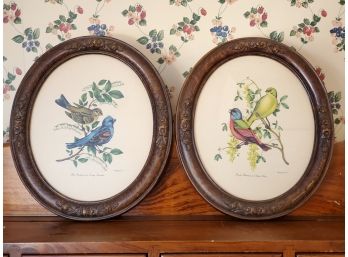 Pair Of Vintage 1950s Carved Oval Framed Bird Lithographs By Vincent