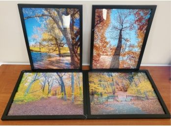 Four Lovely Color Fall Nature Framed Photographs 12' X 15'