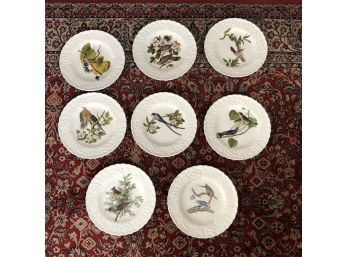 Alfred Meakin Audubon Bird Plates Set Of 8