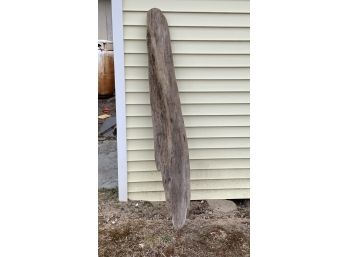 Large Piece Driftwood