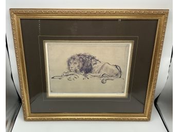 Beautiful Framed Rembrandt  Von Ryan Print ~ A Lion Lying Down ~