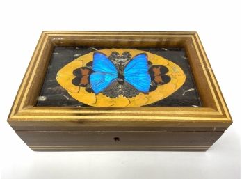 Genuine Butterfly Wing Trinket/jewelery Box