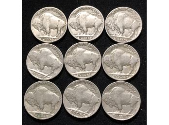 Lot Of Nine Buffalo Head Nickels – Lot 2