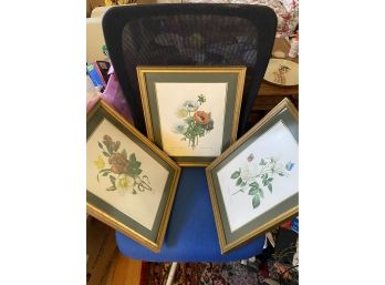 Three Nicely Framed Botanical Prints