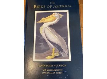 Large Audubon Birds Book.  Beautiful Prints!