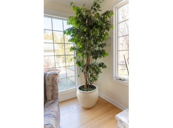 Large Faux Ficus Tree In Cream Tone Ceramic Planter Pot