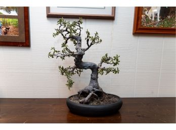 Faux Bonsai Tree