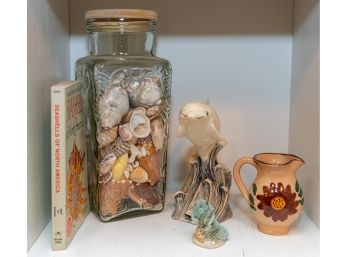 Collection Of Sea Themed Dcor, Shells And Book On Shells Of North America