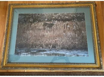 Framed Photo Print Of Deer