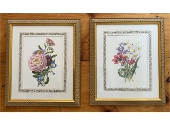 Two Contemporary Framed Botanical Prints