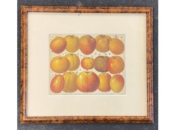 Framed Fruit Print