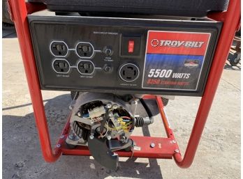 Troy Bilt 5000 Watt Generator, Powered By Briggs & Straton