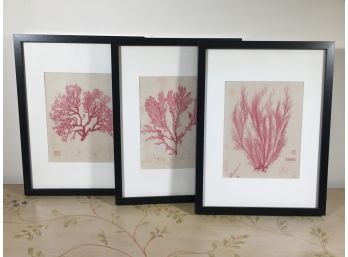 Lot Of Three (3) Decorative Prints - Nice Decorator Pieces - Very Nicely Framed - NICE LOT !