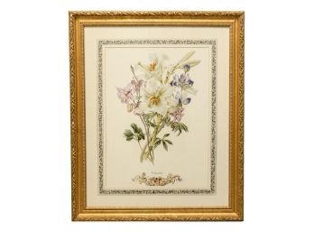 Gilt Wood Floral 'columbine' Framed Print