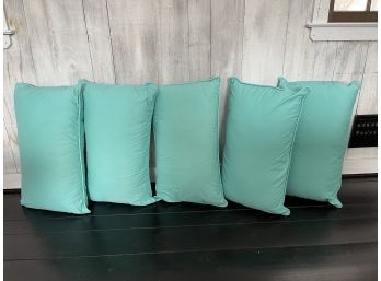 Five Light Teal Pottery Barn Pillows