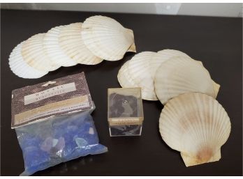 Fun Crafts Materials - Mosaic Mercantile Beach Glass And 10 White Florida Scallop Seashells