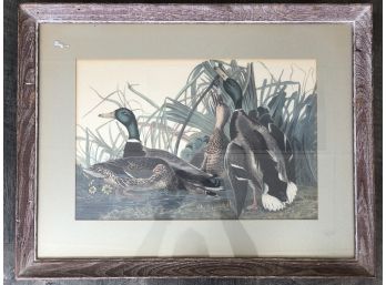 Lovely Matted And Framed Duck & River Landscape Painting Print