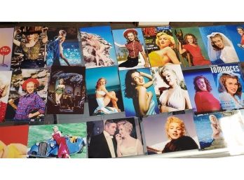 The Absolutely Beautiful ** Marilyn Monroe** In Over 333 Colorized Photographs   4' X 5 7/8'  Lot 1 Of 2