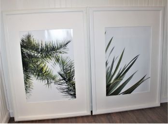 Pair Of Tropical Trees & Plant Color Photographs In IKEA White Virserum Frames