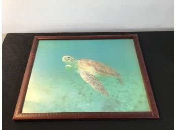 Under Water Turtle Print