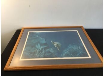 Turtle Pass Gand Cayman Is. Signed Print